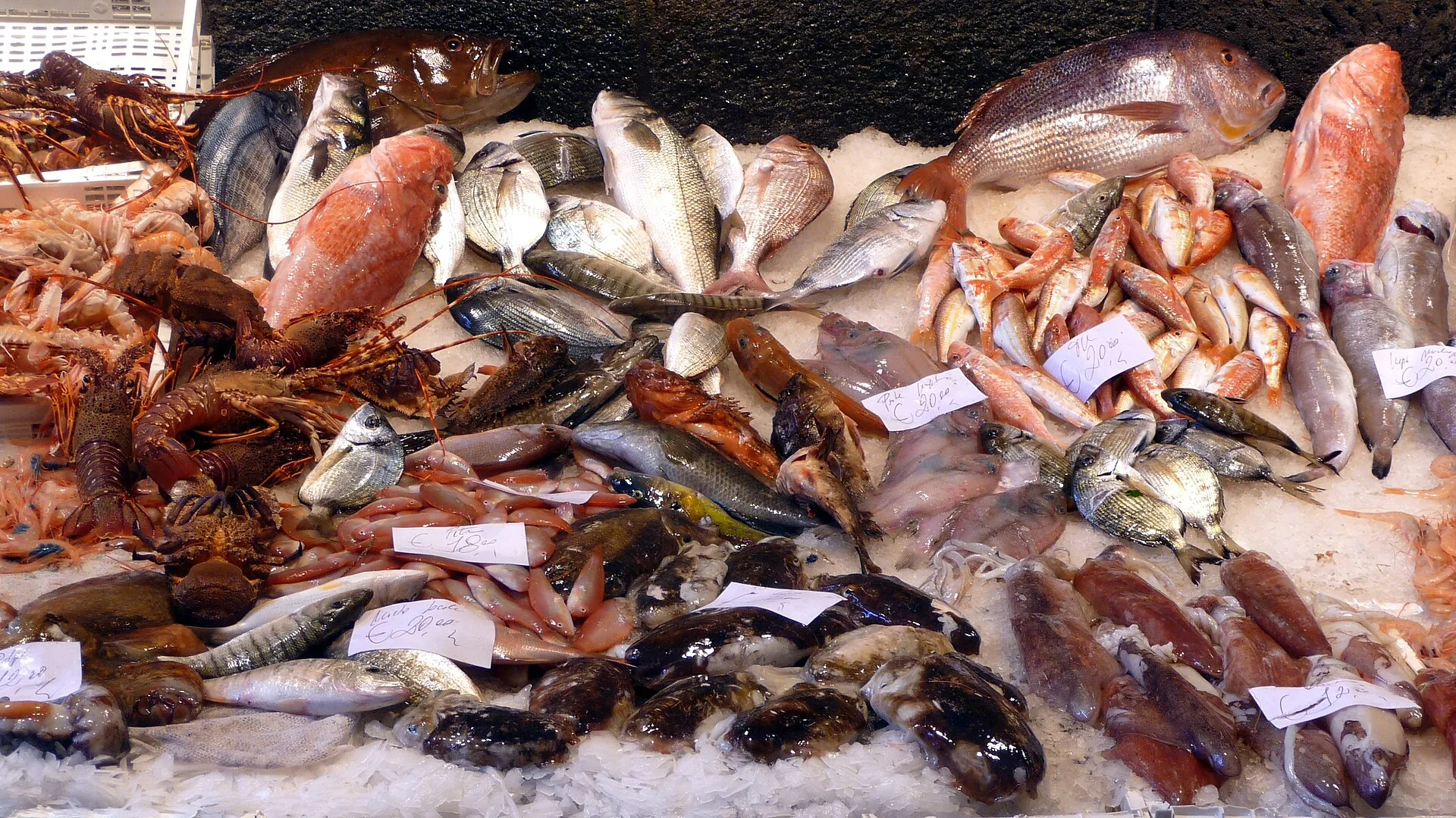 I banchi del pesce nel mercato della Pescheria